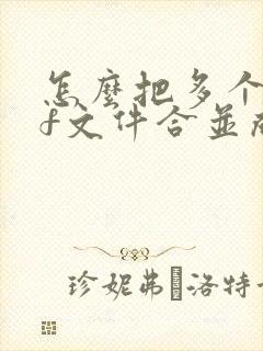 怎么把多个pdf文件合并成一个压缩包