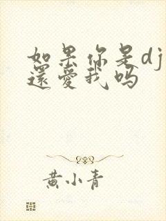 如果你是dj你还爱我吗