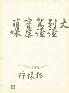 萌宝驾到大佬妈咪虐渣渣
