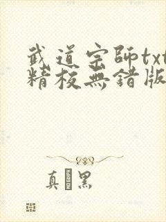 武道宗师txt精校无错版