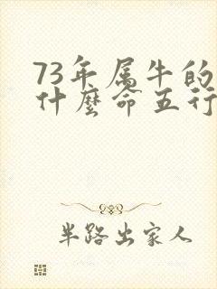73年属牛的是什么命五行属什么
