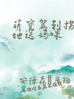 萌宝驾到拐个爹地送妈咪