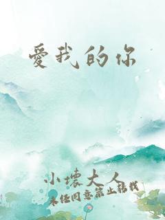 爱我的你