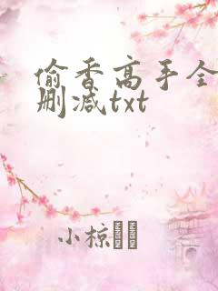 偷香高手全文无删减txt