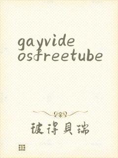 gayvideosfreetube
