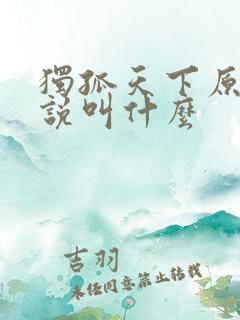 独孤天下原著小说叫什么