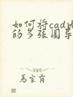 如何将cad内的多张图导出一份pdf