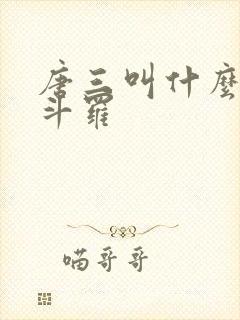 唐三叫什么封号斗罗