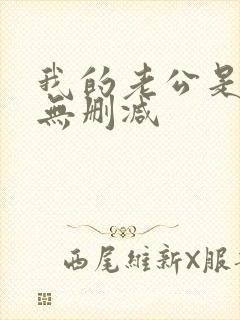 我的老公是冥王无删减