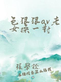 色狠狠av老熟女操一对