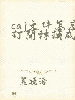 caj文件怎么打开转换成pdf