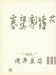 电视剧暗花剧情分集介绍