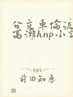 公交车伦流澡到高潮hnp小说