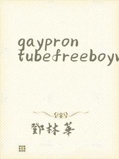 gayprontubefreeboyvideoxxx