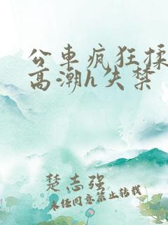 公车疯狂揉肉蒂高潮h失禁