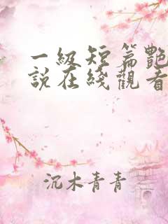 一级短篇艳情小说在线观看