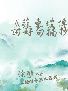 《苏东坡传》好词好句摘抄