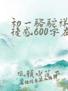 初一骆驼祥子读后感600字左右