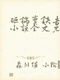 砸锅卖铁去上学小说全文免费阅读无弹窗