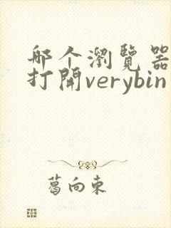 哪个浏览器可以打开verybin
