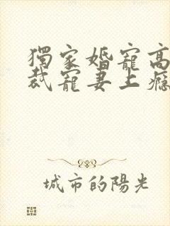 独家婚宠高冷总裁宠妻上瘾