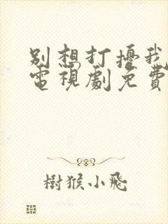 别想打扰我学习电视剧免费观看全集