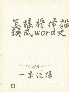 怎样将扫描件转换成word文档