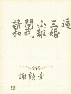 请问小三逼老公和我离婚