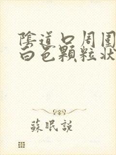 阴道口周围出现白色颗粒状