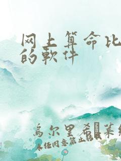 网上算命比较准的软件