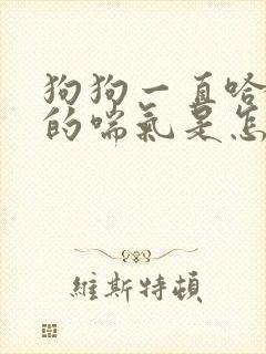 狗狗一直哈哈哈的喘气是怎么回事