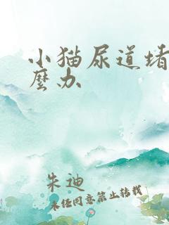小猫尿道堵塞怎么办
