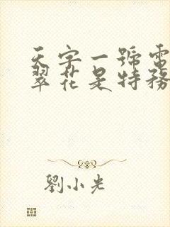 天字一号电视剧翠花是特务吗