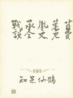 战承胤叶苜苜小说全文免费