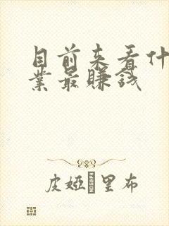 目前来看什么行业最赚钱