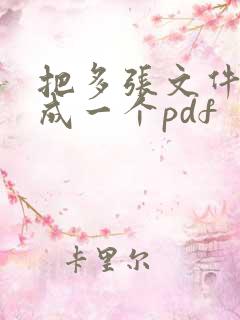 把多张文件扫描成一个pdf