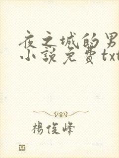 夜之城的男人们小说免费txt下载