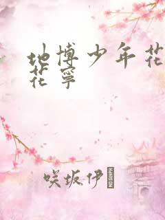 地博少年花子君花宁