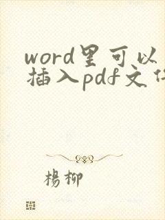 word里可以插入pdf文件吗