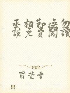 丞相节操勿捡小说免费阅读