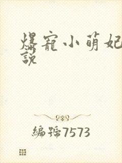 爆宠小萌妃 小说