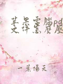 苹果电脑pdf文件怎么压缩大小