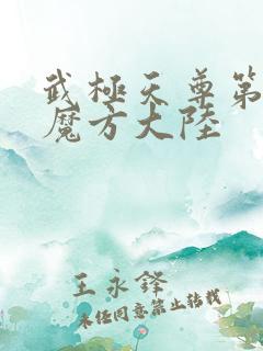 武极天尊第三部魔方大陆