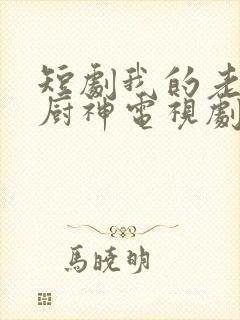 短剧我的老婆是厨神电视剧
