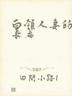 白领人妻的沉沦长篇