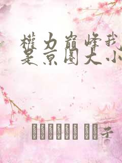 权力巅峰我老婆是京圈大小姐免费阅读