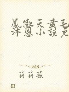 凤傲天黄毛反派沐恩小说免费观看