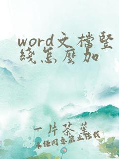 word文档竖线怎么加