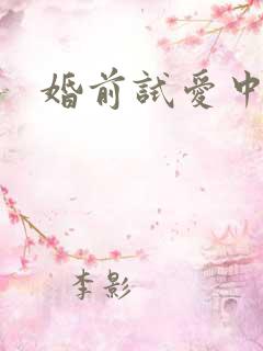 婚前试爱中文