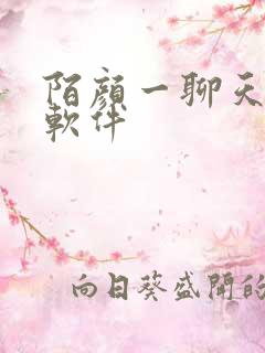 陌颜一聊天交友软件